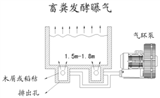 高壓鼓風機發酵曝氣應用(yòng)